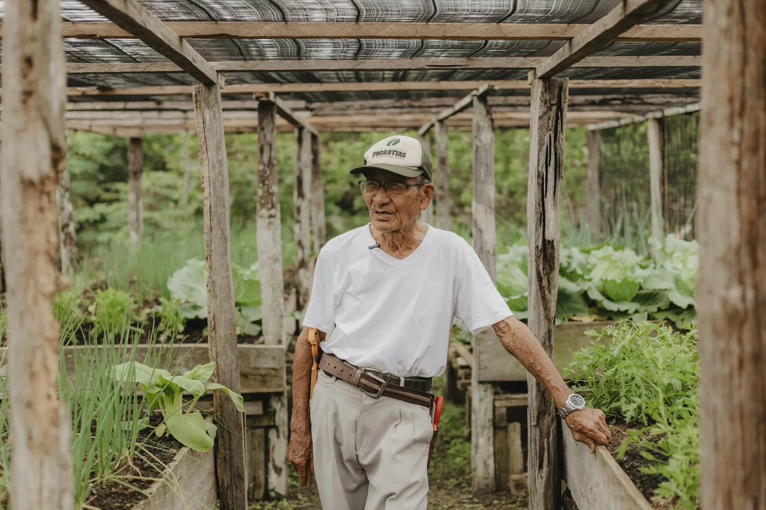 Hombre mayor caminando con calma por un jardín