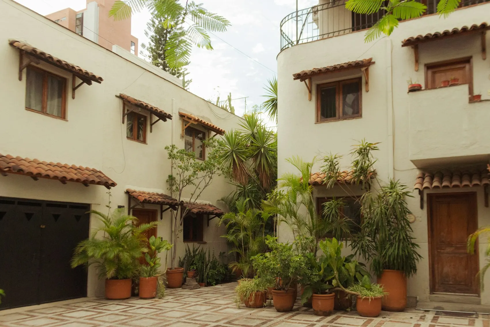 Patio tradicional de Guadalajara con fachada blanca, plantas y macetas